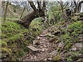 Path to Y Graig (Cwmyoy)