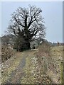 The Shropshire Way leading into the village of Nesscliffe