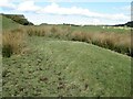 NZ0085 : Manorial Earthworks at Fawns by Les Hull