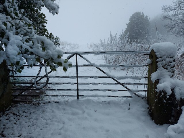 Snowy gate to a field 