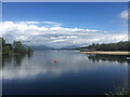 NS3882 : Loch Lomond shores by Ralph Greig