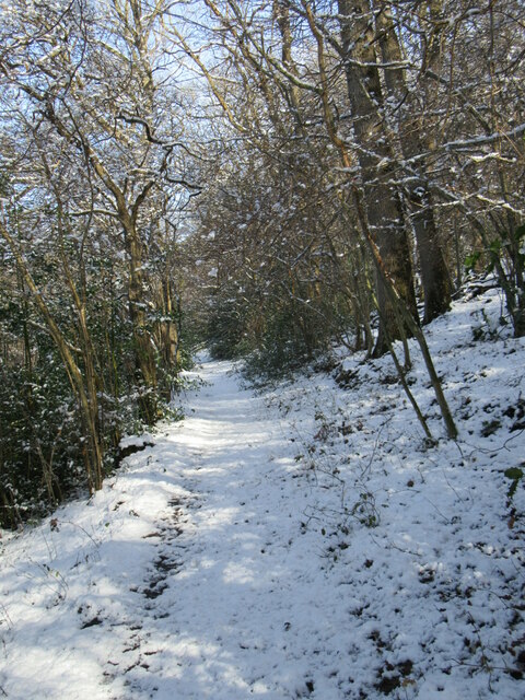 Path in Kirk Dale