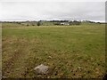 Pasture above Williamshaw