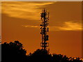 Three Fields Farm telephone mast