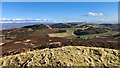 View to Lintrose Hill