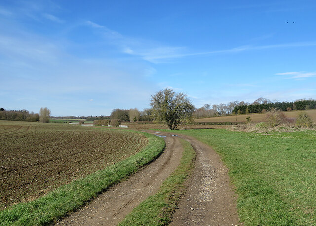Bridle path and farm track