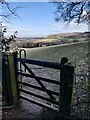 Gate along the Abberley Circular Walk