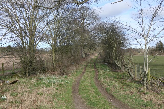 Track to Drumley