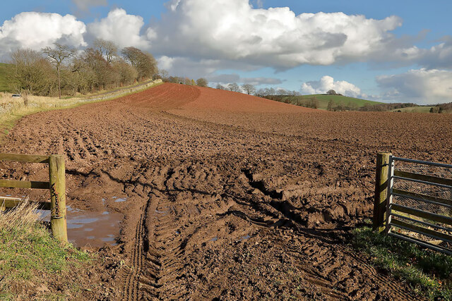 A ploughed field at Legerwood