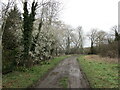 Bridleway to Rothley