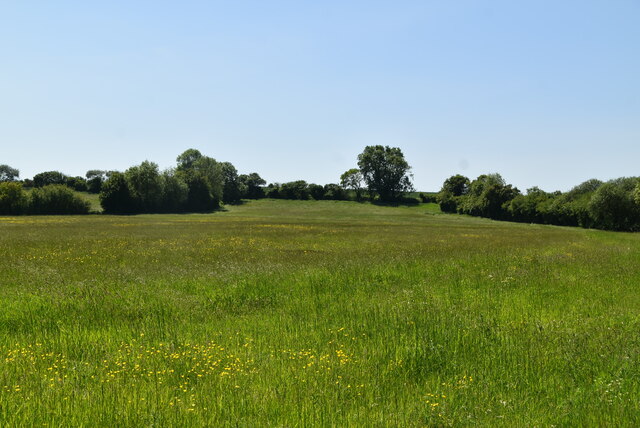 Stour valley pasture © N Chadwick :: Geograph Britain and Ireland