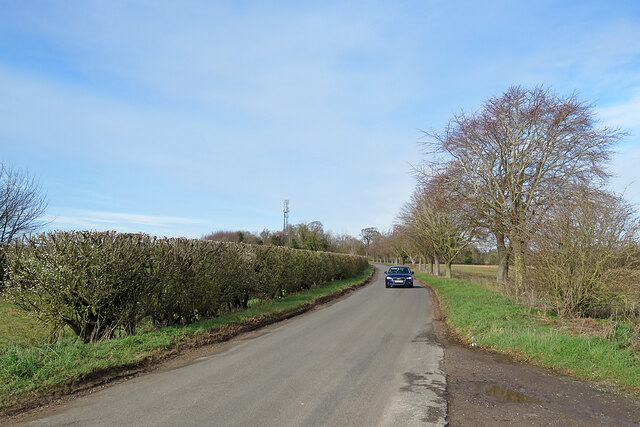 An East Cambridgeshire lane