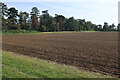 TL4562 : Field near Fieldstead Farm by Hugh Venables