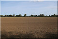 Field near Fieldstead Farm