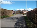 Lyefield Road looking East