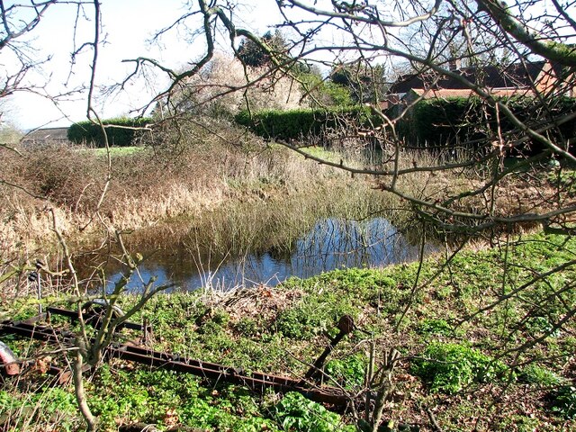 Small pond by Hill Farm