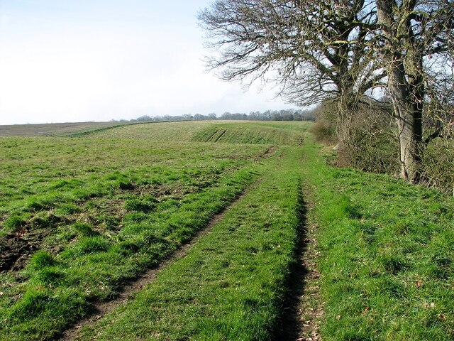 Permissive path along a field's edge