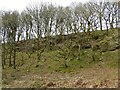 Rocky outcrops near Swinden Water