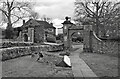 Storm Damage, Ganghill