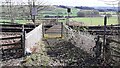 Railway crossing for footpath/track to Low Moor Farm from A658