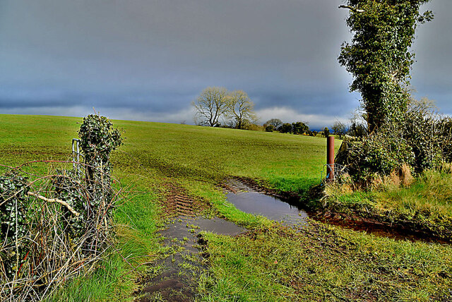 Muddy entrance to field, Dunnamona