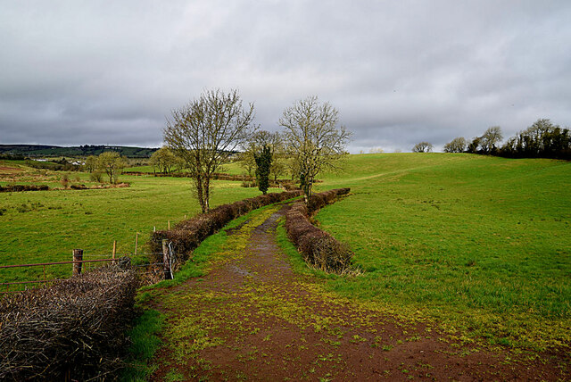 Lane between fields, Dunnamona