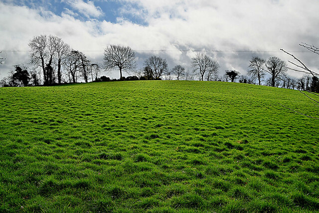 Grassy field, Dunnamona