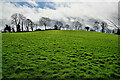 Grassy field, Dunnamona