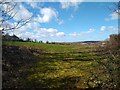 Field off Lyefield Road