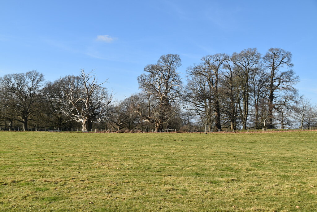 Godington Park © N Chadwick :: Geograph Britain and Ireland