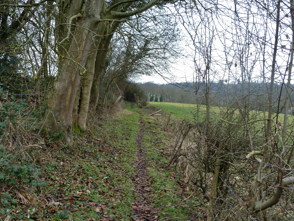 Woldingham Footpath 29 © Robin Webster :: Geograph Britain And Ireland