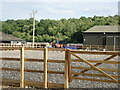 Riding in a manège at Devon Equestrian Centre