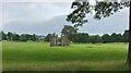 Standing stones in South Inch