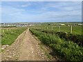 The lane towards Kirkwall