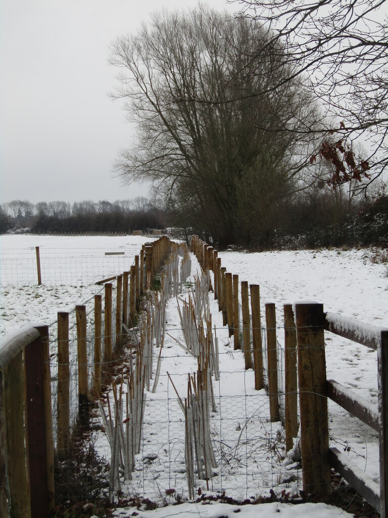 Clandon Park - New Fencing © Colin Smith cc-by-sa/2.0 :: Geograph ...