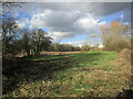 Grass field by the Pinxton Canal