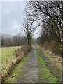 Track along Nant Meurig