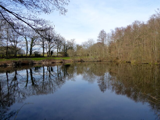 Pond, Furnacebank Wood