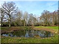 Pond, Furnacebank Wood