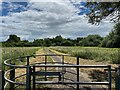 Footpath into Potter