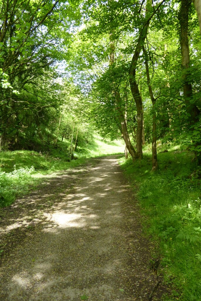 Path in Tideswell Dale © Philip Halling cc-by-sa/2.0 :: Geograph ...