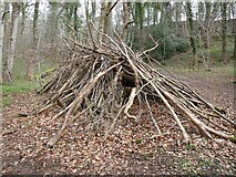 NY9166 : A "den" in the woods near Watersmeet by Oliver Dixon