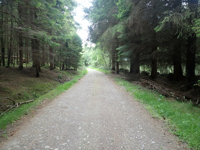 Track through Dunain Woods
