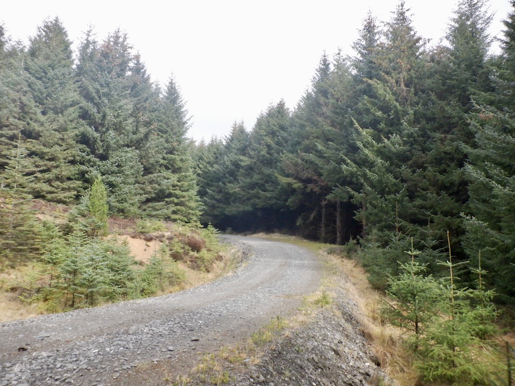 Logging Road Hyndhope Forest © Richard Webb Geograph Britain And Ireland 5416