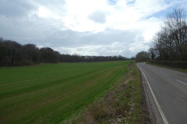 Cattle Lane and farmland