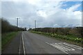 Daffodils along Aberford Road