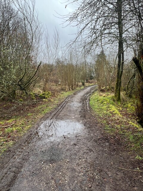 Rather wet pathway