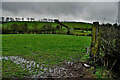 Muddy entrance to field, Roscavey