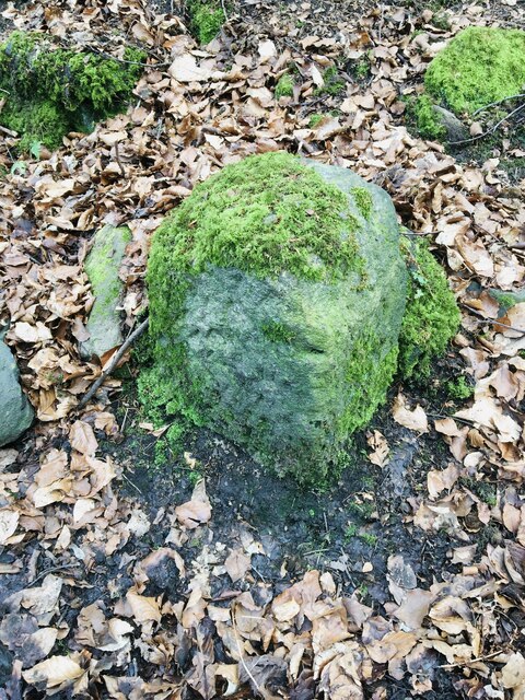 Old Boundary Marker in Crow Nest Wood