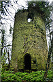 S3665 : Old Tower House by kevin higgins